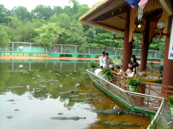 Vương quốc cá sấu ở Khu du lịch Suối Tiên TPHCM